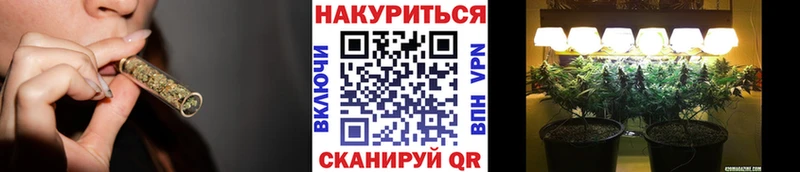 Купить где  Кимры  Канабис VHQ 